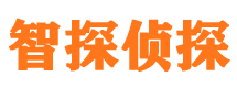 安岳市私家侦探